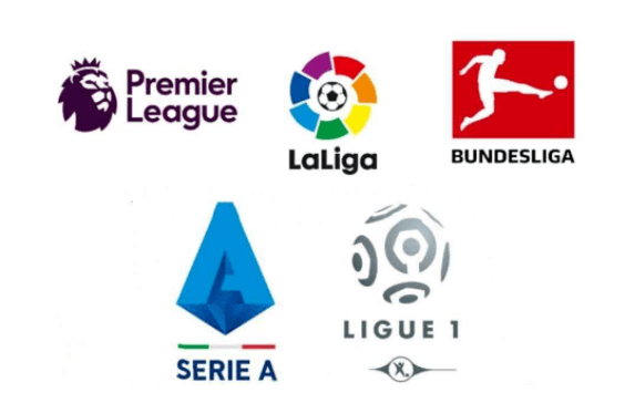 还将体育精 还将体育精